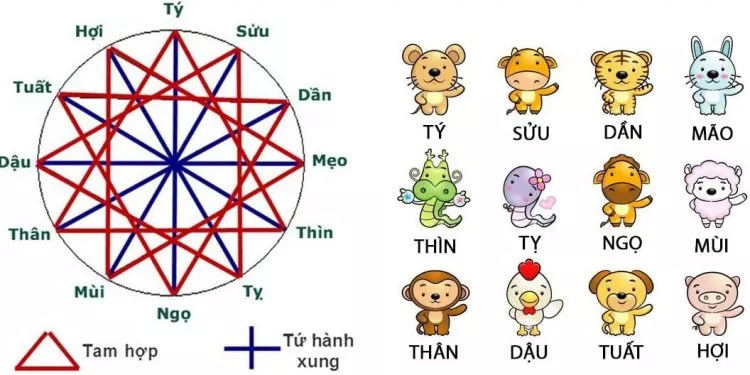 Tuổi tứ hành xung có lấy nhau được không? Cách hóa giải 15 Tuổi tứ hành xung có lấy nhau được không? Cách hóa giải