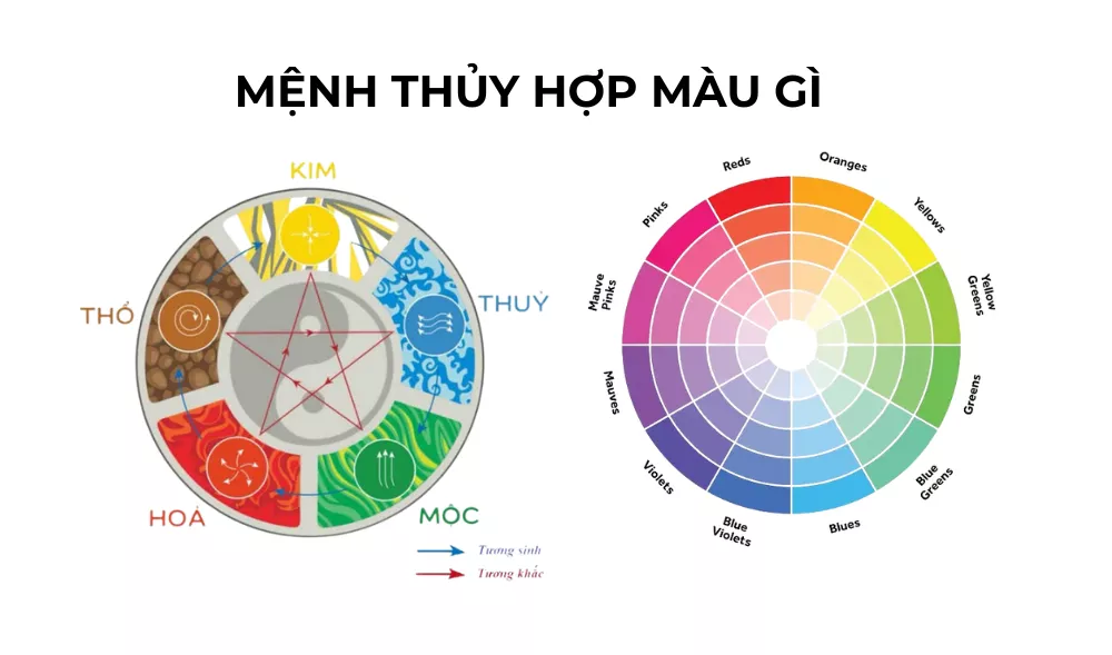 Mệnh thủy hợp màu gì là câu hỏi của nhiều người. Tuân theo vòng tuần hoàn